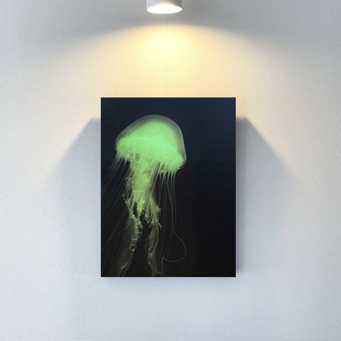 Jellyfish（クラゲ）/ファブリックパネル
