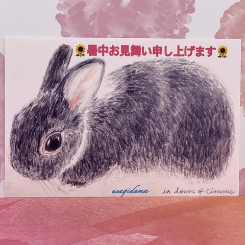 SALE🌻うさぎの暑中お見舞い申し上げます🌻同柄ポストカード3枚セット　デッサンシリーズ