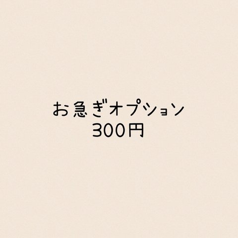 お急ぎオプション300円