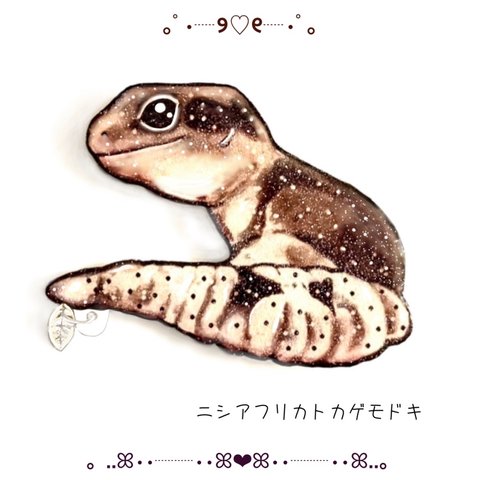 爬虫類【ニシアフリカトカゲモドキ】miniリーフブローチ　　シルバー♡