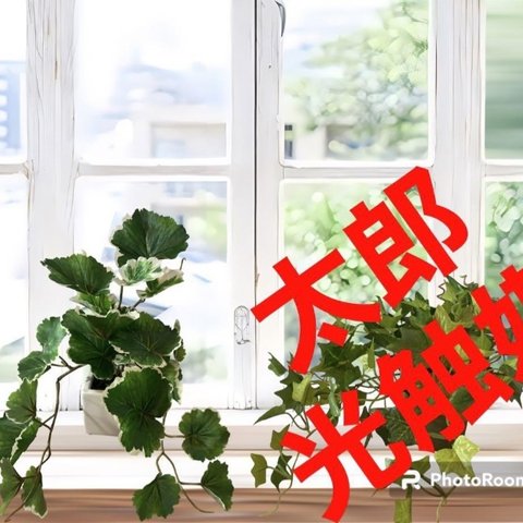 光触媒　人工観葉植物　ウォールグリーン　フェイクグリーン　アイビーとゼラニューム