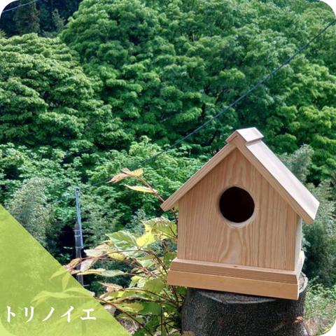 トリノイエ / 小鳥の巣箱 / 木製