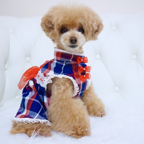 ☆ワンコ☆犬服☆British Checkワンピース