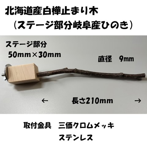 白樺止まり木　１３（ステージ50×30ｍｍ　直径9ｍｍ　長さ210ｍｍ）