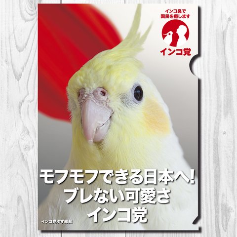 A4クリアファイル　インコ党　「モフモフできる日本」