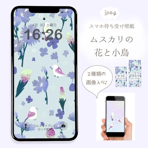 ムスカリとデイジーの花と小鳥達　スマホ　待ち受け　壁紙