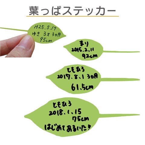 【木の身長計】リーフメモステッカー  s35