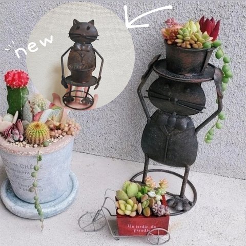 🆕アンティーク調ブリキ🎩紳士猫の寄せ植え❷🎩垂れる植物入り‎ܾ 🌿.∘