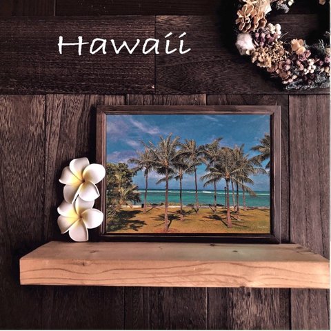 【送料無料】南国の風景☆HAWAII No.192　                    フレーム付    A4サイズ