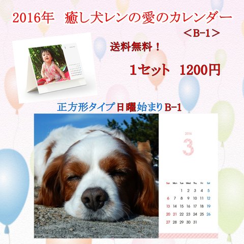 2016年　癒し犬レンの愛のカレンダー（B-1）