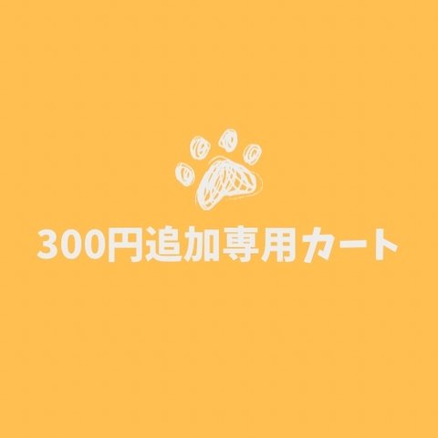 300円☆追加料金専用カートです