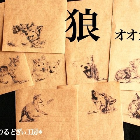 【ミニレター】オオカミ 鉛筆画シリーズ 8種32枚入