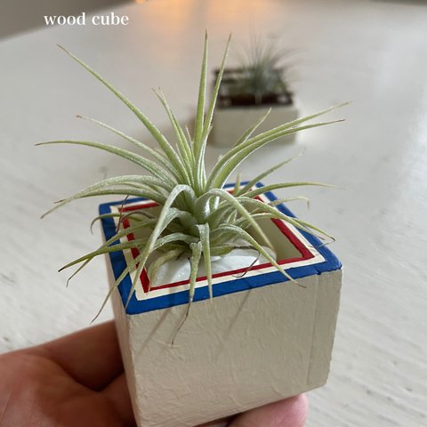 wood  cube mini  （Buttermilk×トリコロールカラー🇫🇷）