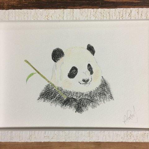 <Sold out>色鉛筆絵画 パンダ 原画(額装)