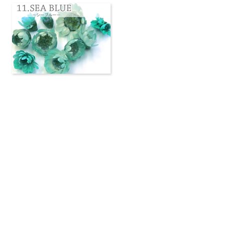 11　シーブルー（青緑）【生花を使用したドライフラワー】 　スターフラワー　約10個入り　ネイル・レジン封入・ガラスドームに