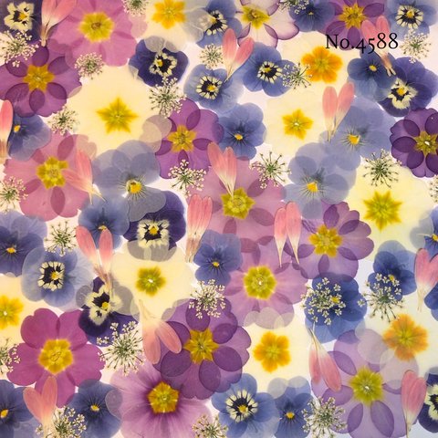 ♡new♡作家様必見♡押し花MIXセット♡押し花セット