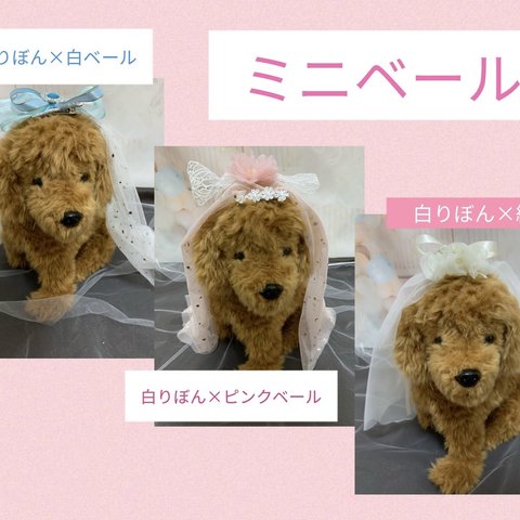 犬猫うさちゃん　ベビー用にも！　ミニベール