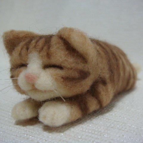 茶色トラちゃんの昼寝（猫）