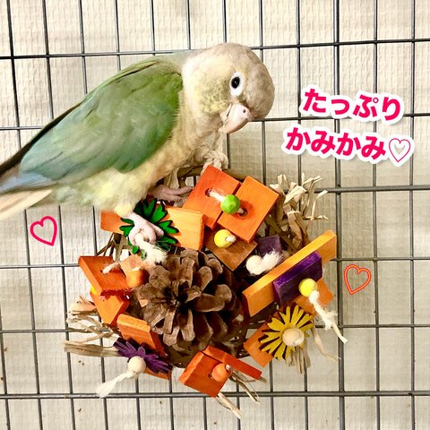 インコのおもちゃ　Happy♡バードケーキ＆リース★(オレンジ）　記念日・お誕生日にも♪