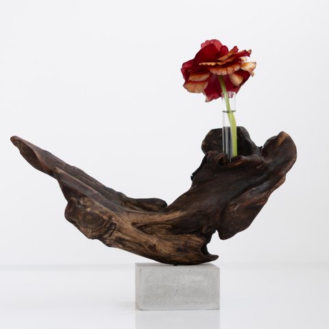 世界にたったひとつあなただけの流木一輪挿し | driftwood flowervase | ookina shippo no.3 (M size)
