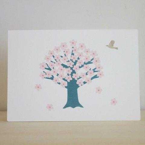 Greeting Card 3枚セット/G3_桜と鳥