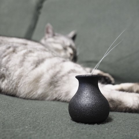 SMALL VASE HANABOU  小型花瓶　一輪挿し　シンプル　おしゃれ　猫ヒゲスタンド　猫髭