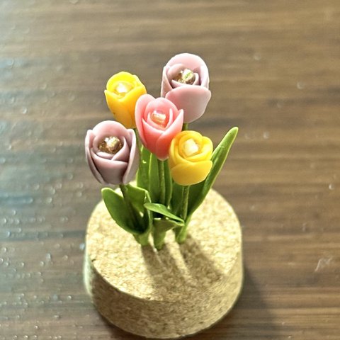 ミニチュアチューリップ🌷