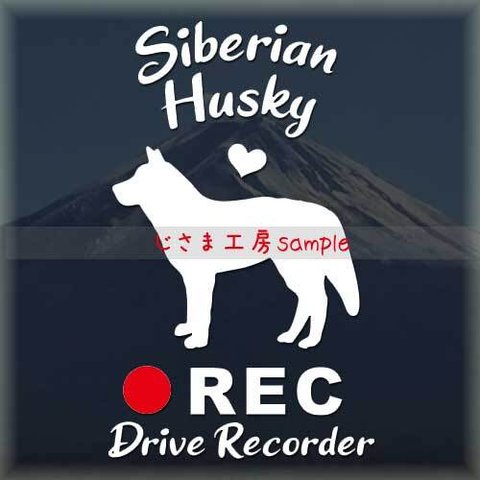 わんちゃんのかわいいドラレコステッカー　『DRIVE　RECORDER』