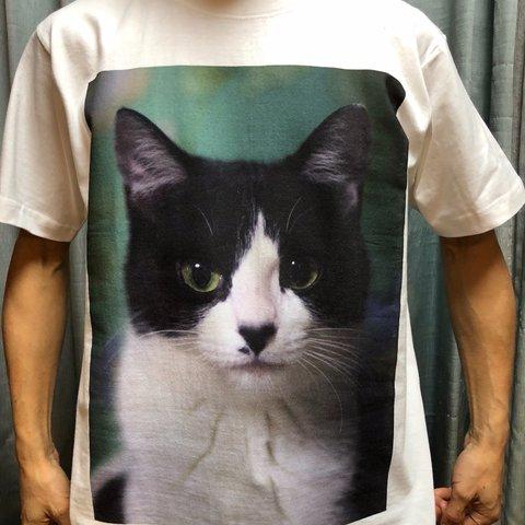 ねこTシャツ【F0001】