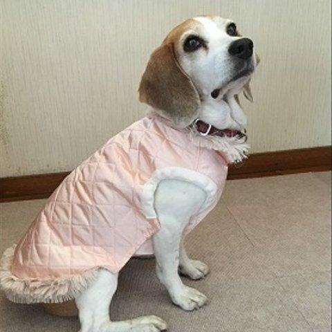 ピンクのサテン犬服M （マジックテープ着脱）