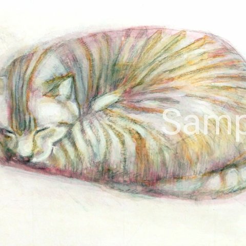 Sleeping Tabby Cat, rough sketch アクリル、色鉛筆　絵画作品　真作