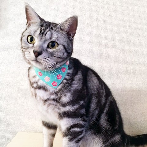 まじめな首輪【桜一重八重グリーン】目立つバンダナ風／猫にやさしい 選べるバックル猫首輪 安全首輪 子猫 成猫