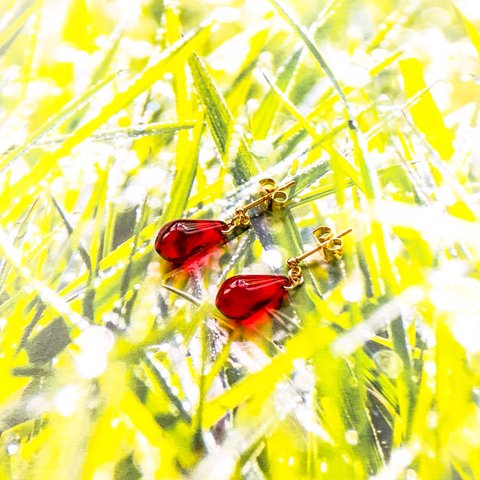 【大人気🌿】風の谷の小さなピアス（イヤリング変更可能🌿）