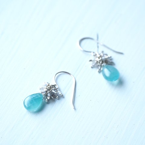 -Grandidierite・Lobradorite- silver <pierce・earrings>