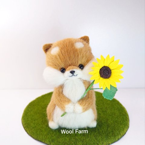 ひまわり柴犬　羊毛フェルト 〜Wool Farm〜