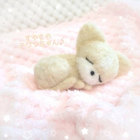 すやすやチワワちゃん♪　羊毛フェルト　ハンドメイド　お眠り　ねんね　パピー　犬