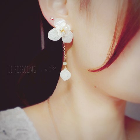 白紫陽花のピアス