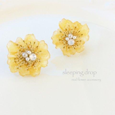 rosa banksiae 〜モッコウバラ〜earring