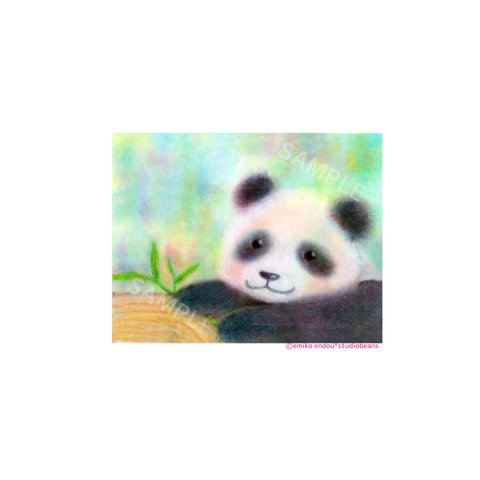 【選べるポストカード5枚セット】No.35 パンダ