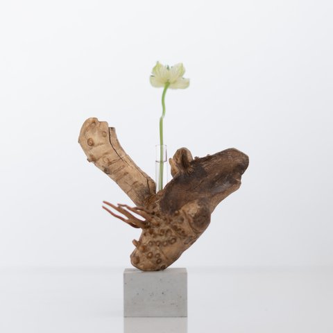 流木一輪挿し | driftwood flowervase | mushi no.1