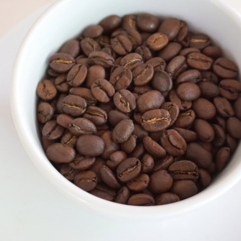 コーヒー豆丨365日（100g）