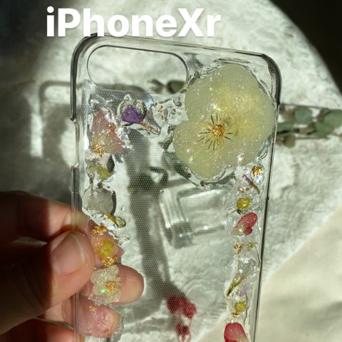 ビオラiPhoneXrケース 押し花ケース