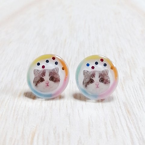 No.986  カラフルねこのピアス☆