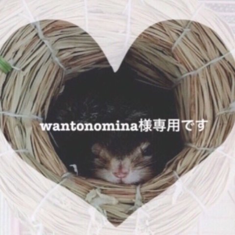 wantonomina様専用　☆オーダーリクエスト☆