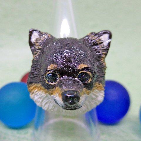 【在庫限り】瞳きらきら動物リング（ロングコートチワワ／チョコレートタン）