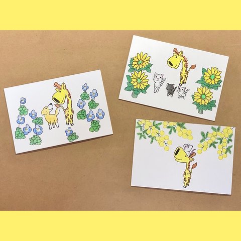 ちびきりんの絵葉書　2月の花3枚セット。オオイヌノフグリ、フクジュソウ、ミモザ