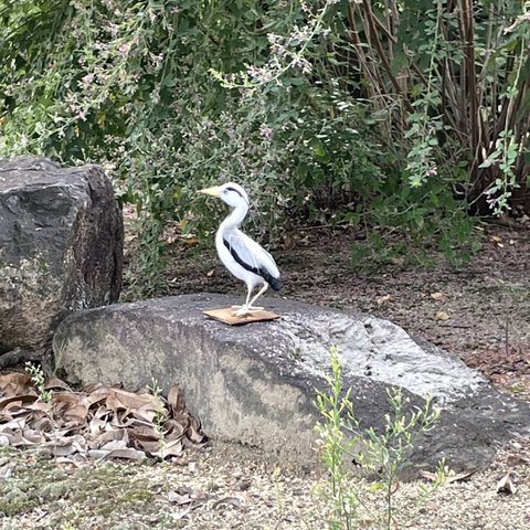 羊毛フェルトの野鳥 アオサギ