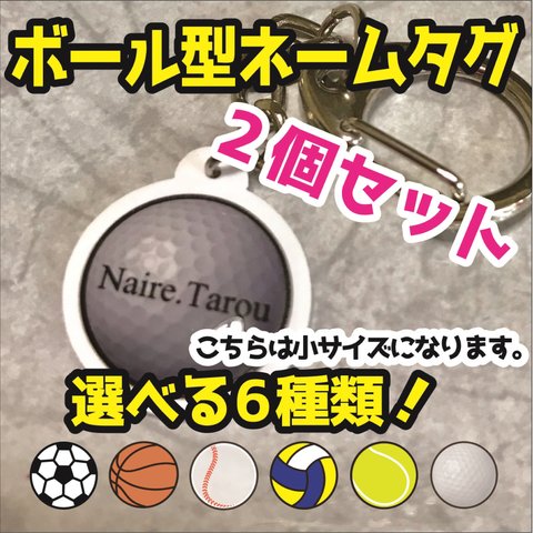 【2個セット】オーダーメイドネームタグボールタイプ  