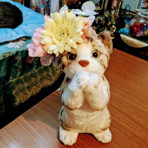 猫の花冠⑪