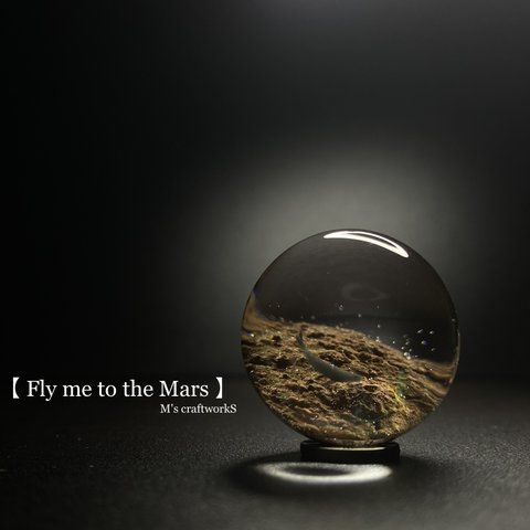 【Fly me to the Mars】 直径25mm
